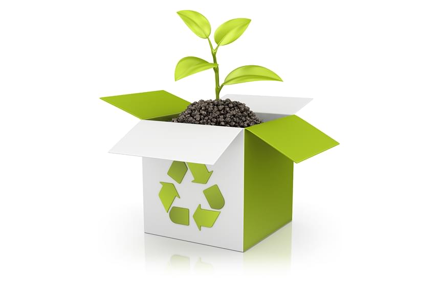 tempack-sustainability-reduce-ecological-footprint-2