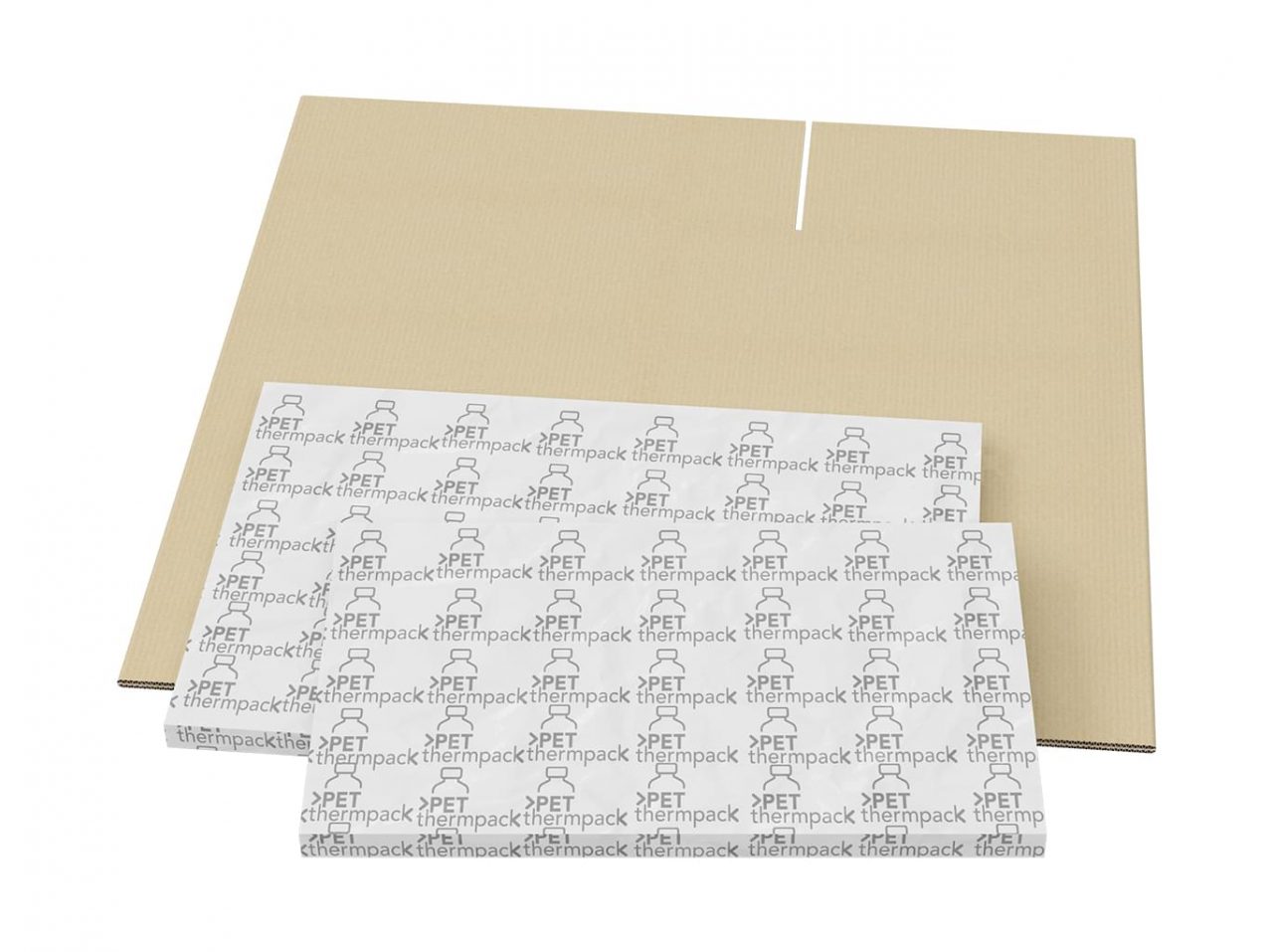 tempack-pet-thermpack-sustainable-packaging-1@2x-1280x957